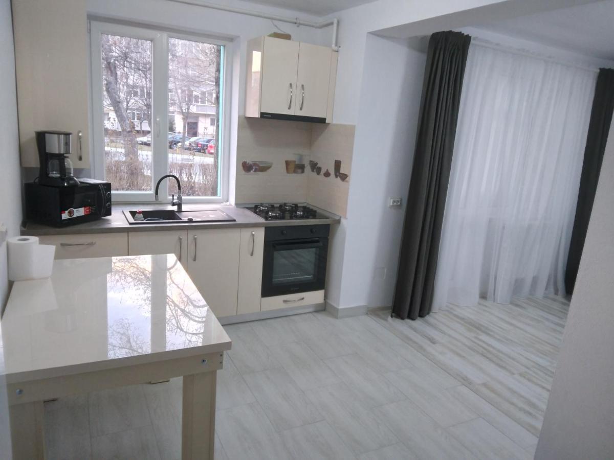 Luxury Apartament Curtea de Argeş Eksteriør bilde
